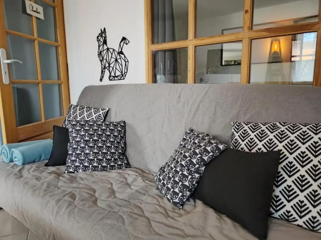 Le Nid Du Chat Noir - Maison Alveole Bed And Books シエ エクステリア 写真